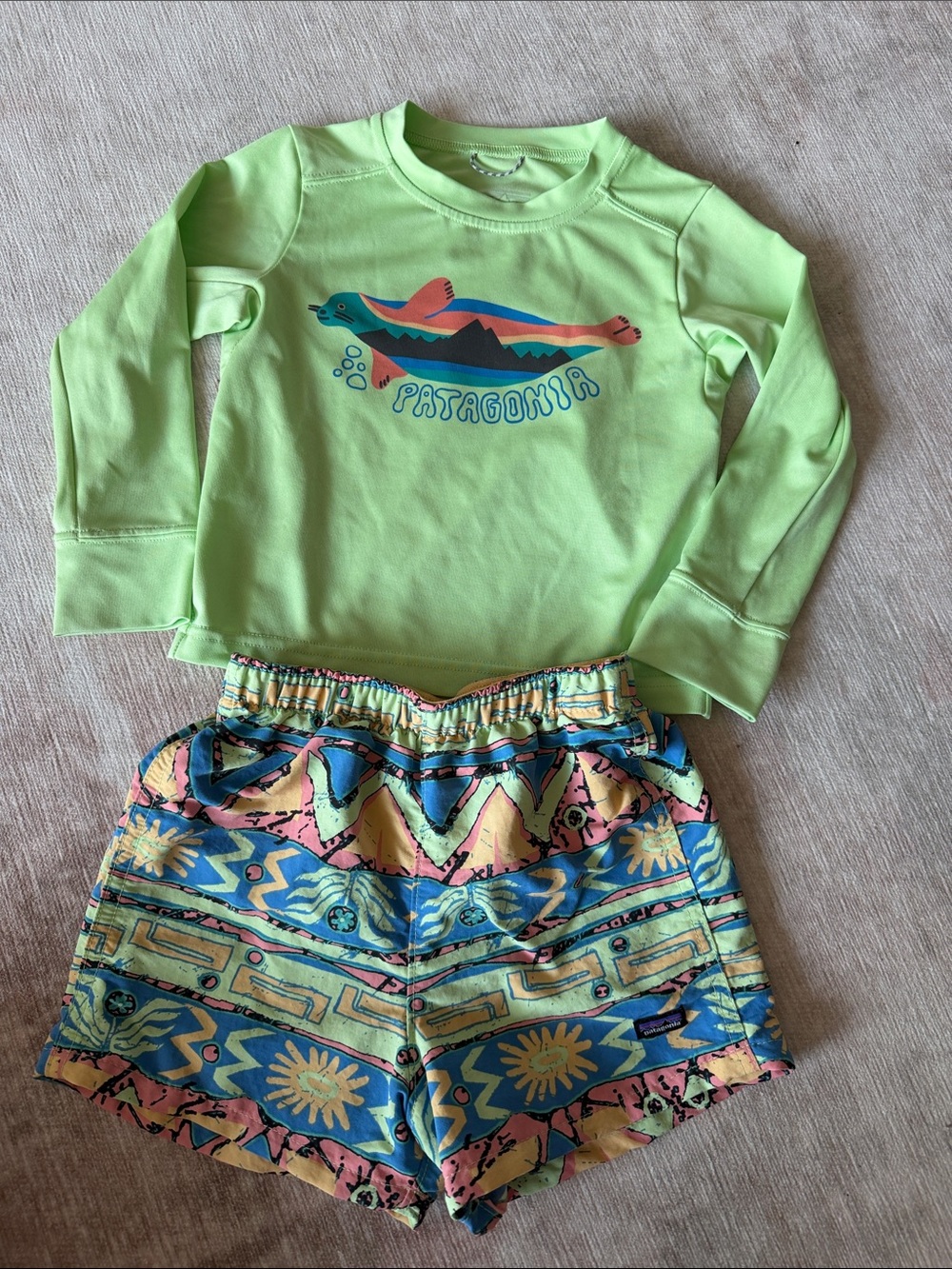 Patagonia Boys Swim Set 2T